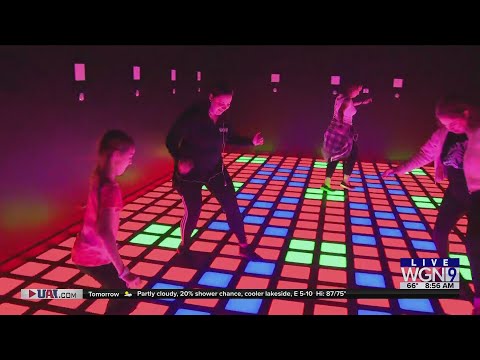 Advanced Haptic Navigation for Inclusive Entertainment